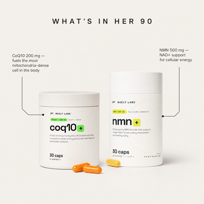 HER 90 — The Egg Energy Stack