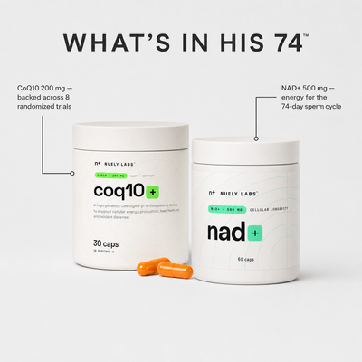 HIS 74 — The Sperm Cycle Stack