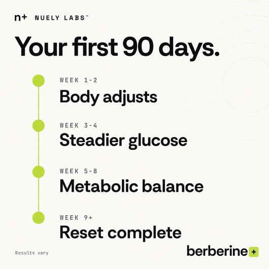 Nuely berberine timeline
