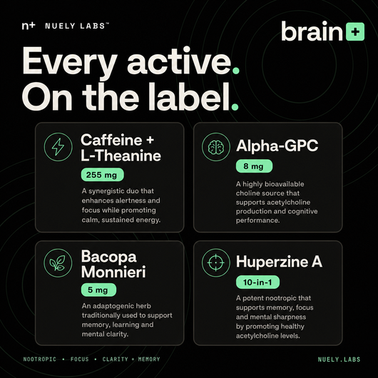 Nuely brain ingredients