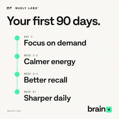 Nuely brain timeline